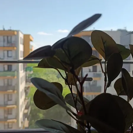 Apartament Polonijna Apartment