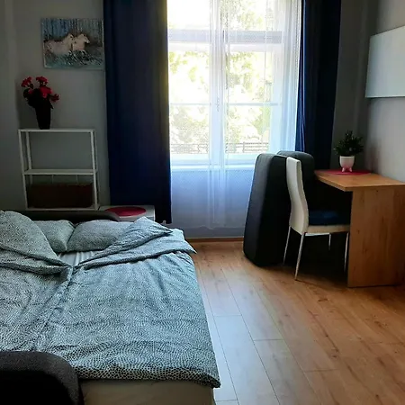 Tiger Krakow