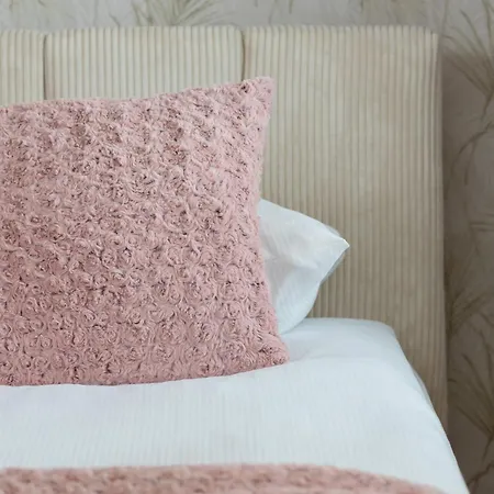 Pink & Blue Cozy In By Renters Krakow