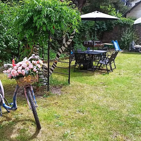 Auberge de jeunesse Retro *