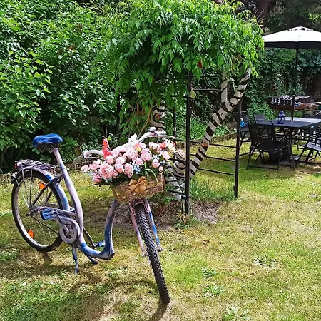 Retro Auberge de jeunesse