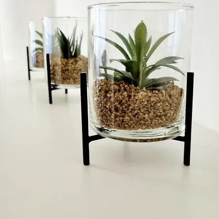 Nook Nook Kazimierza Wielkiego 104 * كراكوفيا
