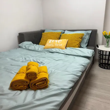 Apartment Salwator Loft