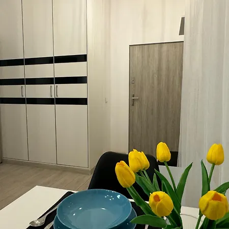 Salwator Loft *