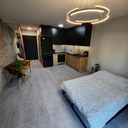 Apartament Castle Loft Apartment,spa, Gym ,sauna & Swimming Pool Free Parking