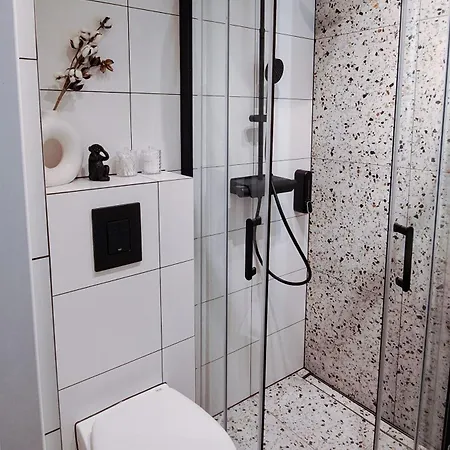 Lion - Platinium Apartment Krakow