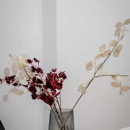 Apartment Koletek 7 Near The Wawel Castle *