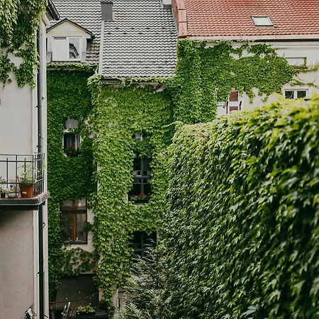Antique Old Town Apartamento