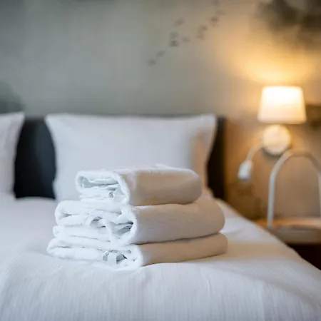Starowislna City Centre Apartment *
