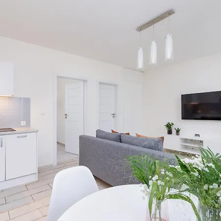 Apartment One Bedroom In The Centre - Sarego 16