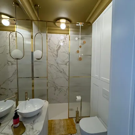 Premium In Parisian Style In The Heart Of Old Apartment