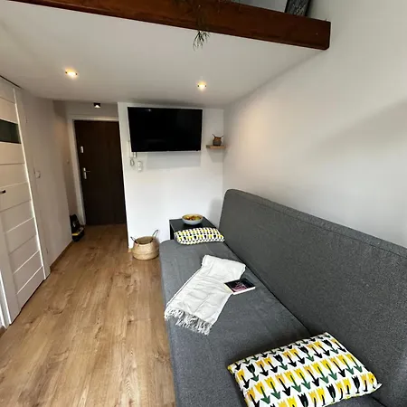 Apartment Spokojna Nest Krakow