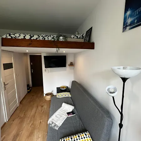 Spokojna Nest Apartment *