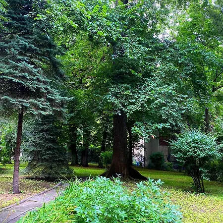 Apartment Comfortable In Old Town Krakow