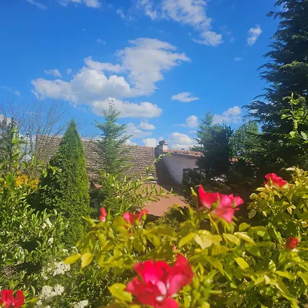 Park شقة *