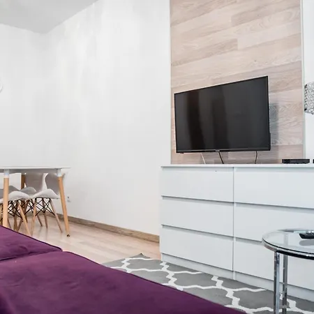 Apartment Rakowicka Wawelofts