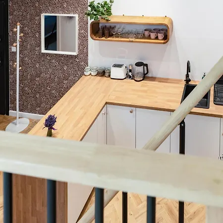 Tyzenhauz Siemiradzkiego Street Apartment Krakow