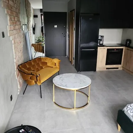 Apartament Castle Loft Apartment,spa, Gym ,sauna & Swimming Pool Free Parking