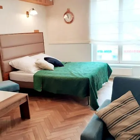 Augustianska Luxury Apartment *