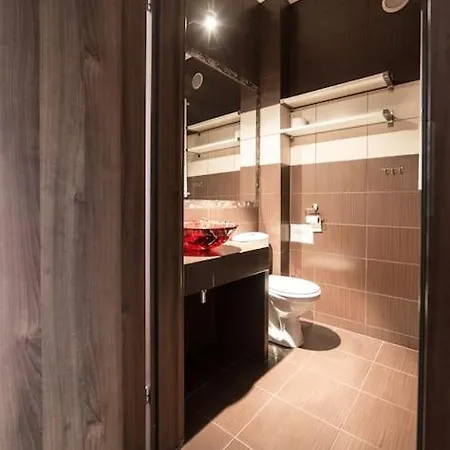 Komfortowy Z Klimatyzacja Apartment *