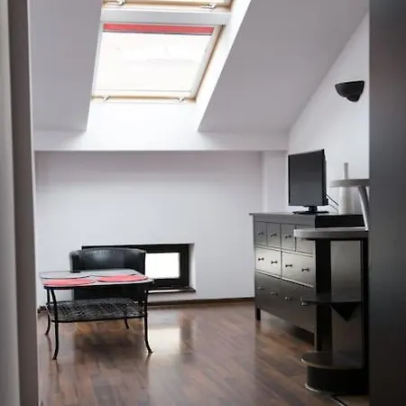Komfortowy Z Klimatyzacja Apartment Krakow