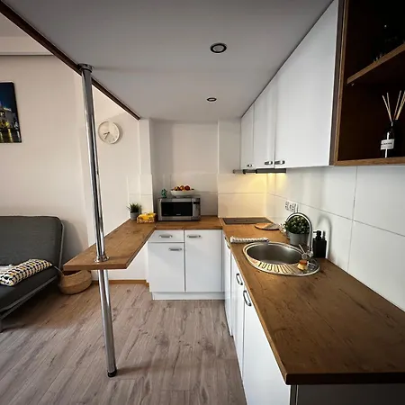 Spokojna Nest Apartment