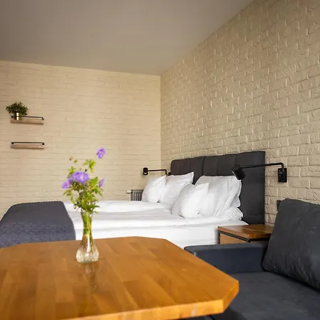 Rozana Loft - Old Town * Krakov
