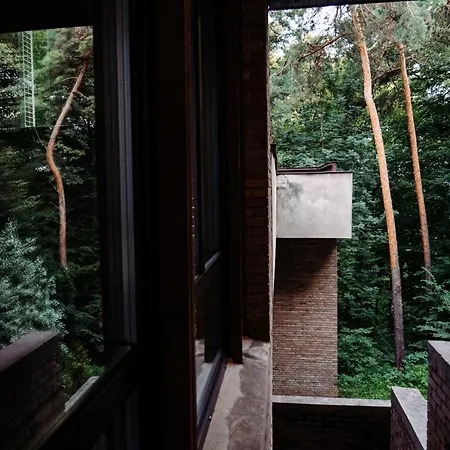 Forest Hotel