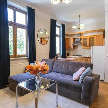 Big Cozy Free 1 Parking Apartment *