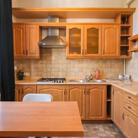 Big Cozy Free 1 Parking Apartment Krakow