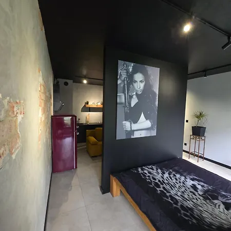 Design Vistula Old Town Free Parking * Krakow