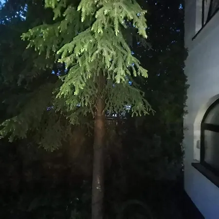 Guest House