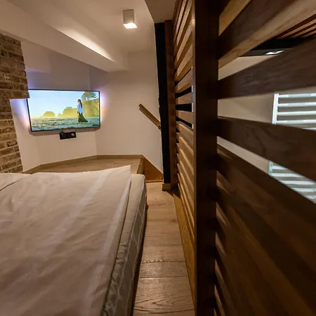 Apartment Vintage Bracka 6 *