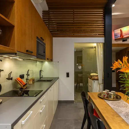 Vintage Bracka 6 Apartment