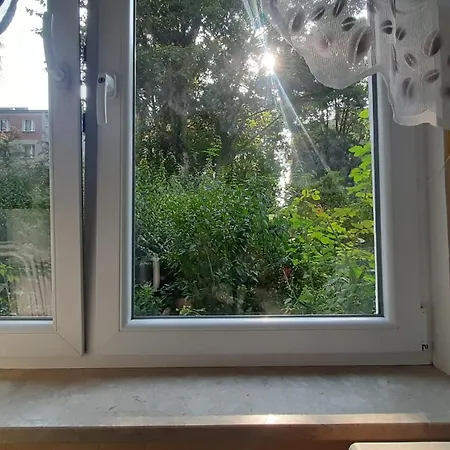 Sofia Krakow