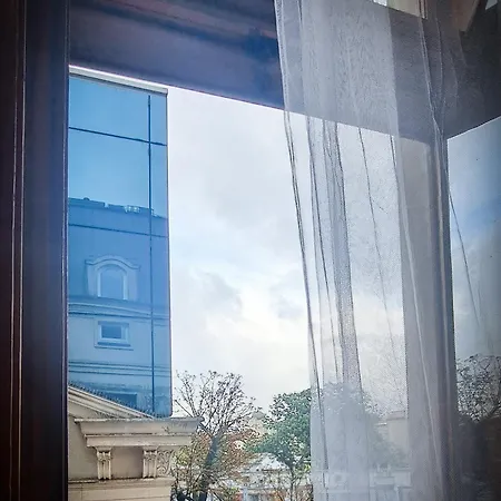 Lion - Platinium * Krakow