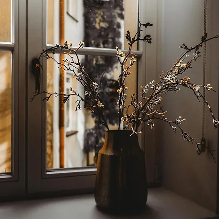 Antique Old Town Apartamento