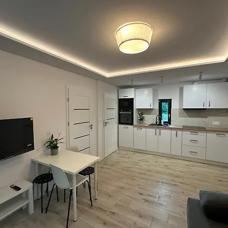 K&j Apartment Kryspinow