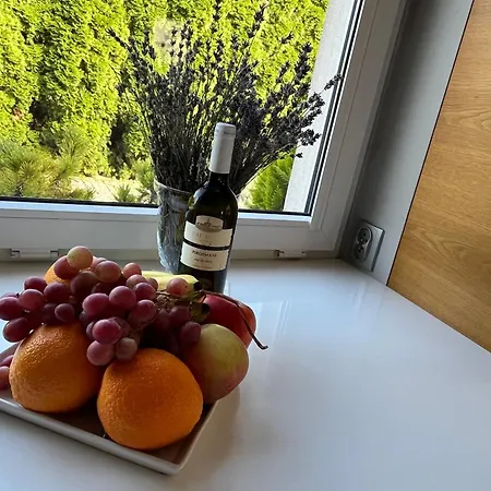 Villa Dom Z Ogrodem W Krakowie *