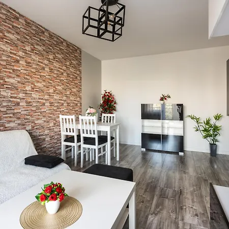 Cozy Red Rose Apartment, 2 Down Town *