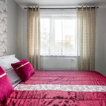 Cozy Red Rose Apartment, 2 Down Town Apartment