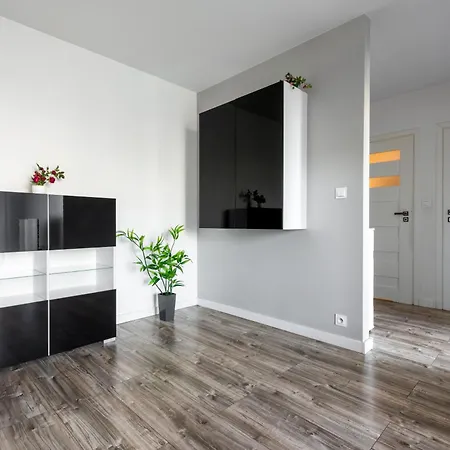 Cozy Red Rose Apartment, 2 Down Town
