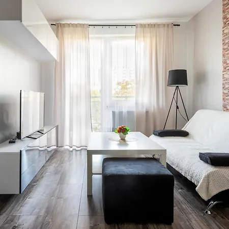 Cozy Red Rose Apartment, 2 Down Town
