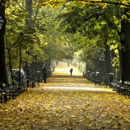 Apartment Romantic Free Parking *