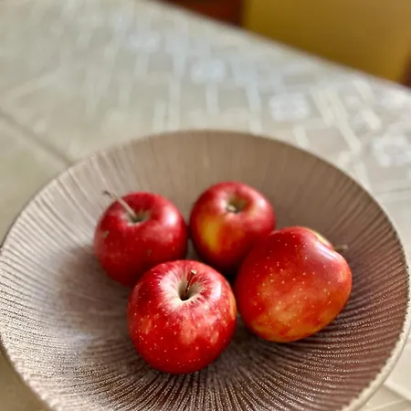 Vintage Senacka 3 * Krakow