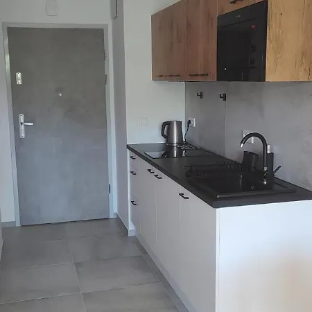 Apartment Halicka Free Parking By Citybeat