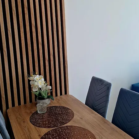 Apartament Blue Wislane Tarasy Apartment *