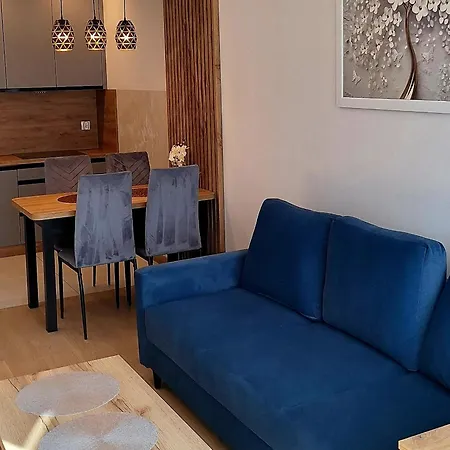 Apartament Blue Wislane Tarasy Apartment Krakow