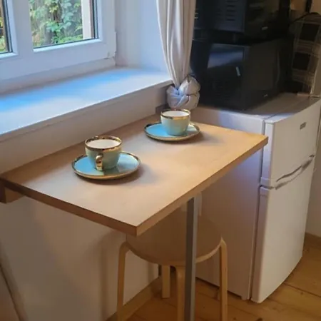 Apartment Vip