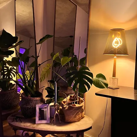 Exclusive Design Loft 60m2 Whole In The Center Of Cracow With A View! Apartment Krakow